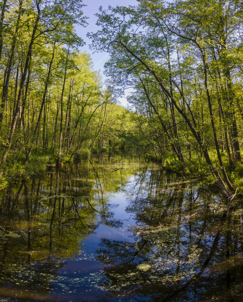 athmosphaere kanal