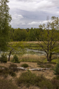 Home athmosphaere moor