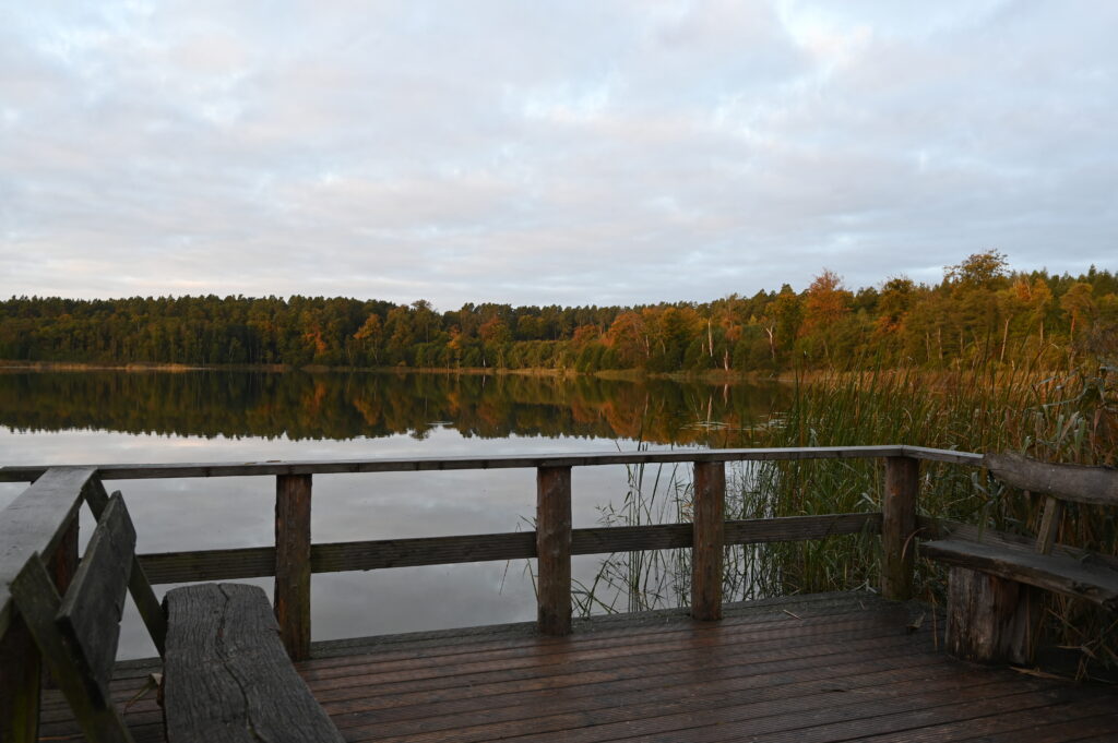 Steg Mellensee Herbst 1024x681