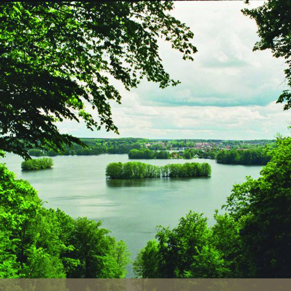 Lage & Umgebung feldberger seen