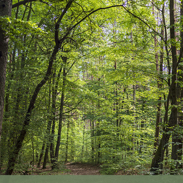 Lage & Umgebung geocashing