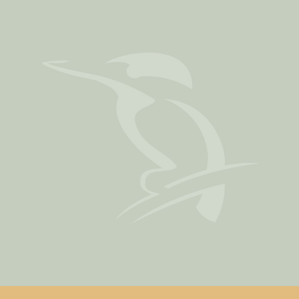 Lage & Umgebung slawendorf neustrelitz